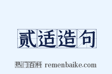 贰适造句是什么意思的图片